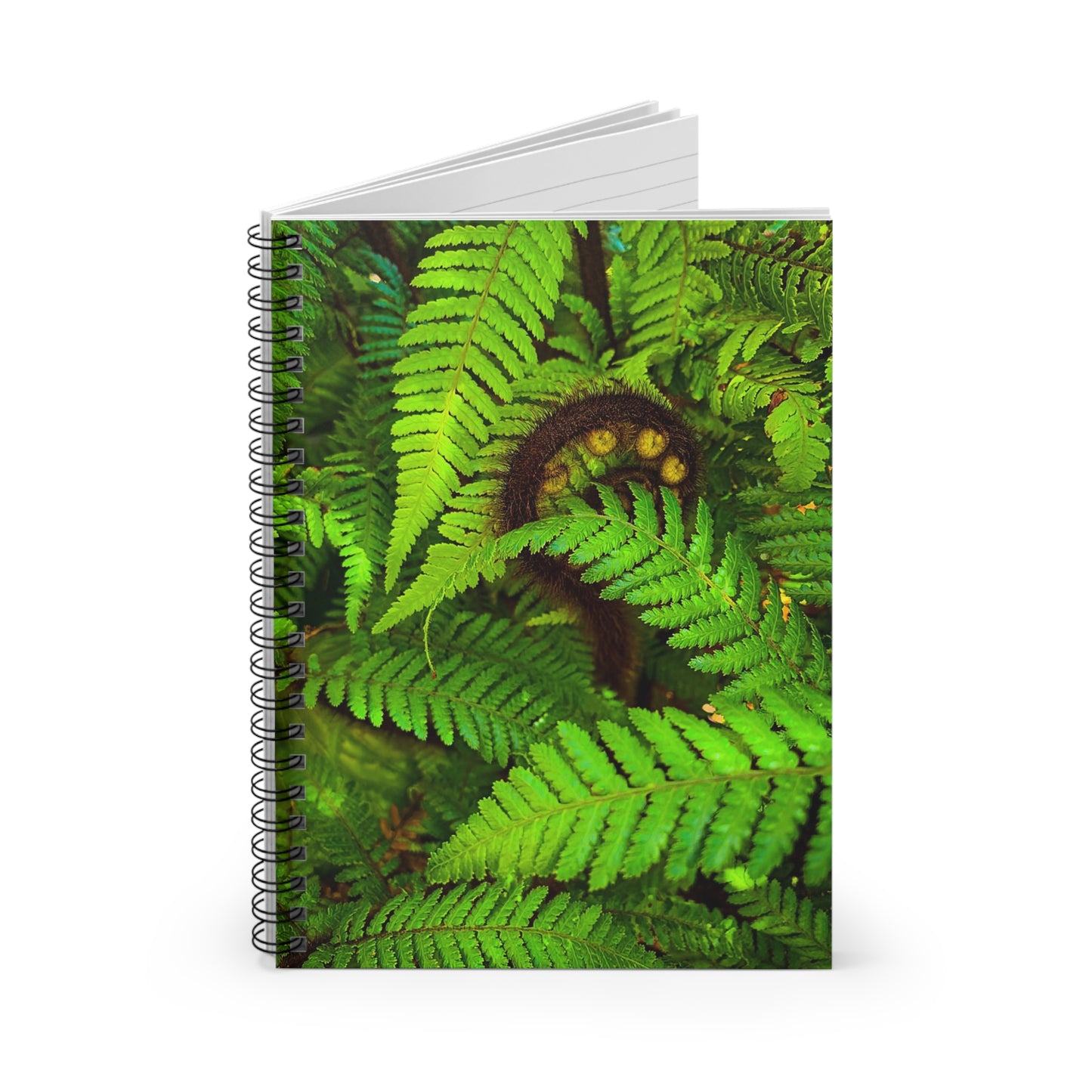 New Zealand Punga Fern Koru Spiral Lined Notebook - Eco-Friendly, 118 Ruled Pages, Perfect for Daily Notes and Journals